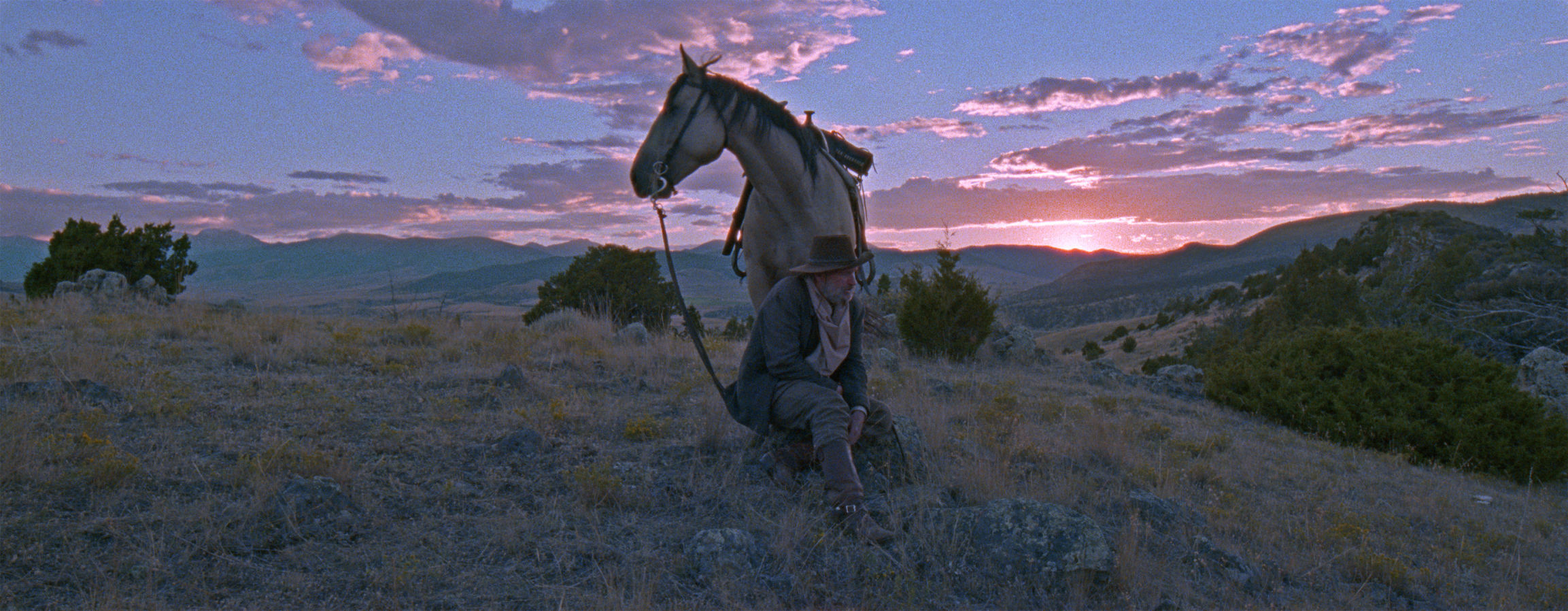 'The Ballad of Lefty Brown'